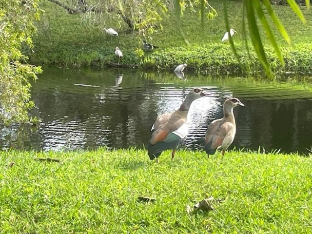 Coastal Townhome In Jupiter 1 Mile To Beach! エクステリア 写真